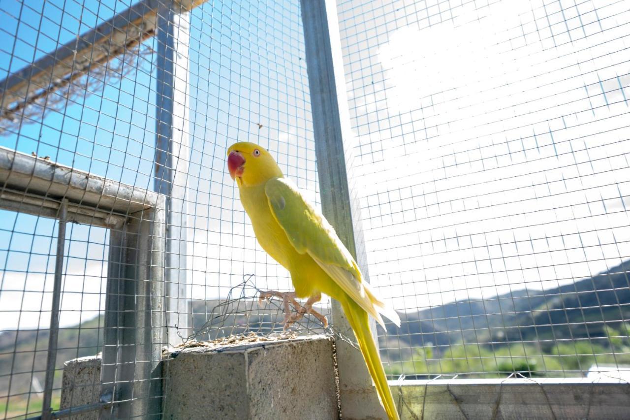 Reul Alto Cortijos Rurales ξενώνας Laroya Εξωτερικό φωτογραφία