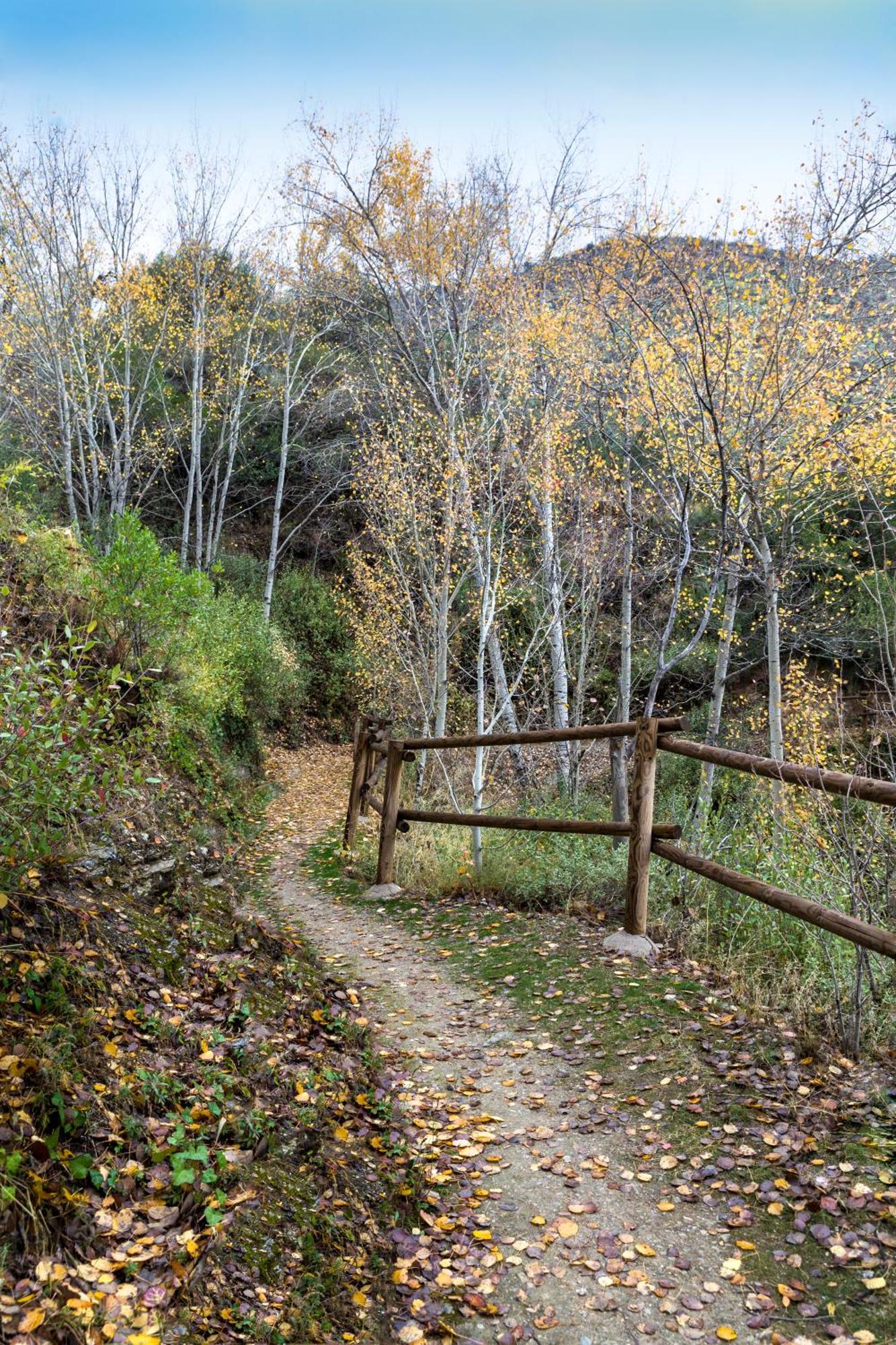 Reul Alto Cortijos Rurales ξενώνας Laroya Εξωτερικό φωτογραφία