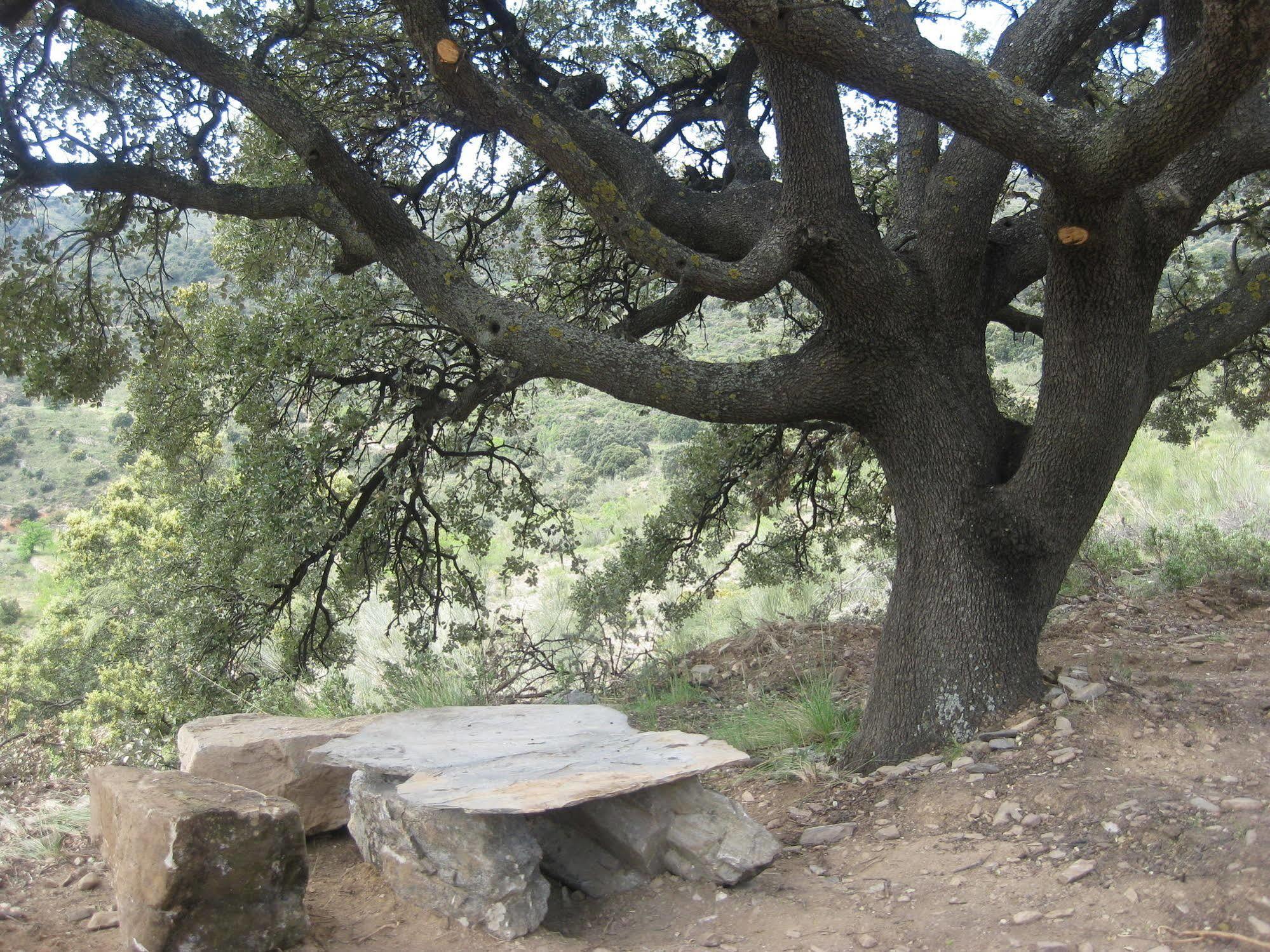 Reul Alto Cortijos Rurales ξενώνας Laroya Εξωτερικό φωτογραφία