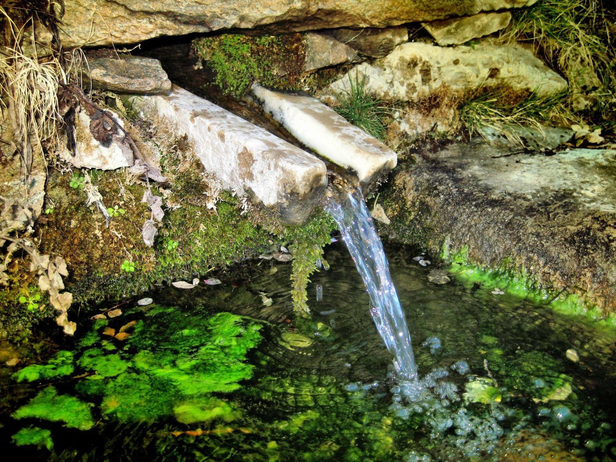 Reul Alto Cortijos Rurales ξενώνας Laroya Εξωτερικό φωτογραφία